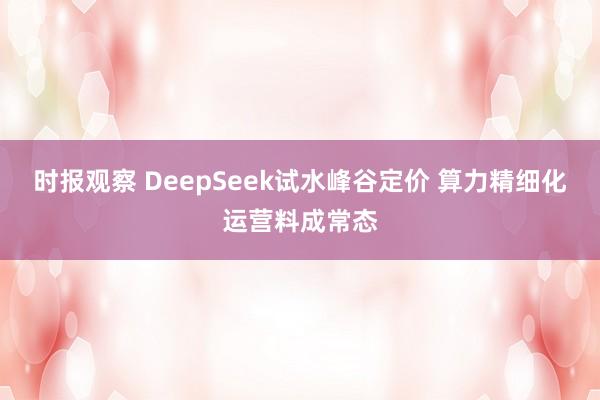 时报观察 DeepSeek试水峰谷定价 算力精细化运营料成常态