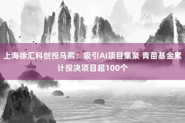 上海徐汇科创投马熙：吸引AI项目集聚 青苗基金累计投决项目超100个
