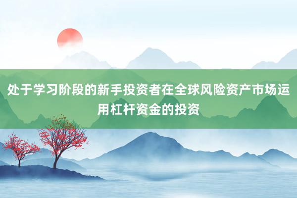 处于学习阶段的新手投资者在全球风险资产市场运用杠杆资金的投资