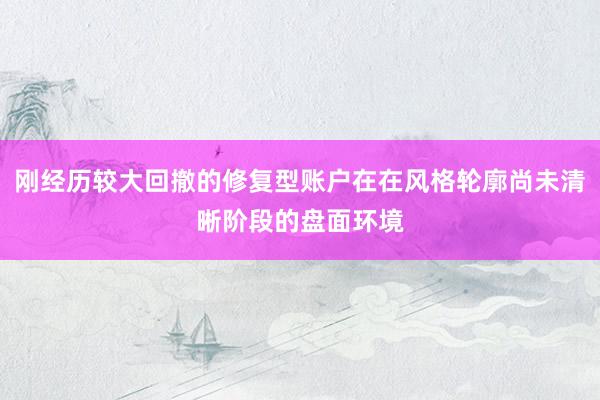 刚经历较大回撤的修复型账户在在风格轮廓尚未清晰阶段的盘面环境