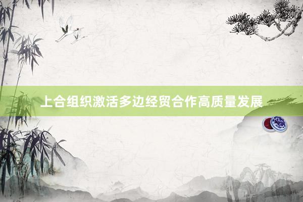 上合组织激活多边经贸合作高质量发展