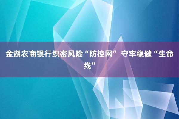 金湖农商银行织密风险“防控网” 守牢稳健“生命线”
