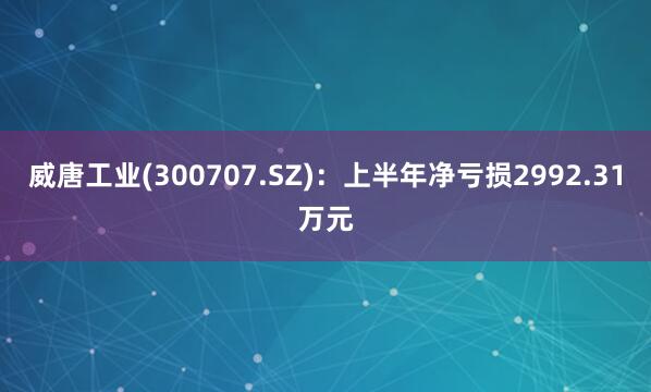 威唐工业(300707.SZ)：上半年净亏损2992.31万元