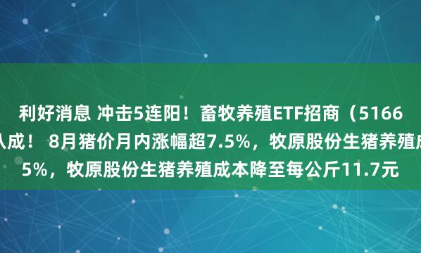 利好消息 冲击5连阳！畜牧养殖ETF招商（516670）年内份额扩容近八成！ 8月猪价月内涨幅超7.5%，牧原股份生猪养殖成本降至每公斤11.7元