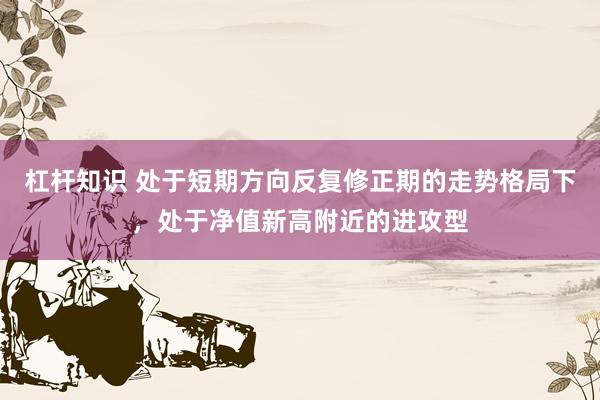 杠杆知识 处于短期方向反复修正期的走势格局下，处于净值新高附近的进攻型